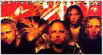 korn4